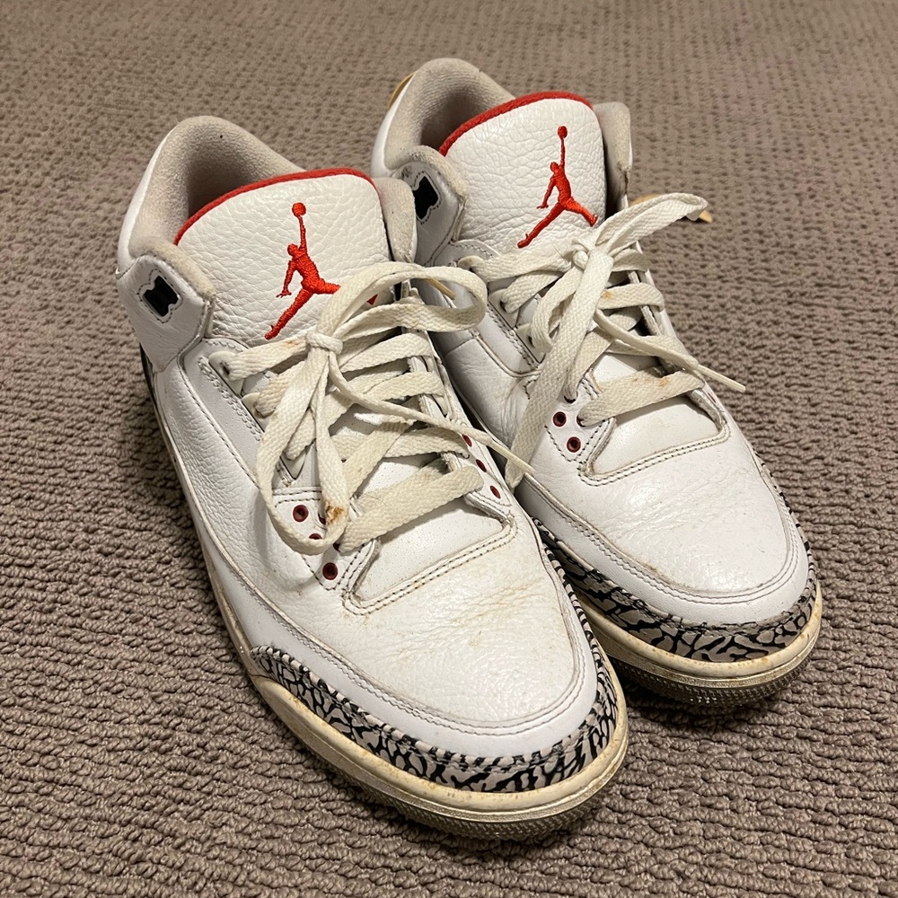 Jordan 3 Cement 2010